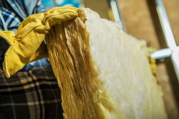 Best Insulation Maintenance and Repair in Fort Myers Beach, FL
